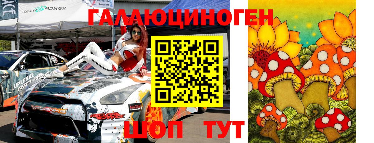 Галлюциногенные грибы Psilocybe Павловский Посад